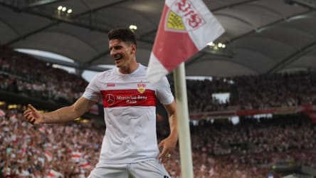 Mario Gomez
