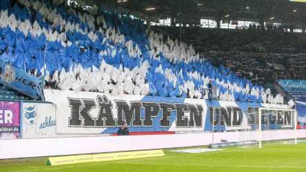 Die Fans von Hansa Rostock