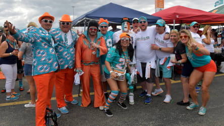 Die Fans der Miami Dolphins feiern.