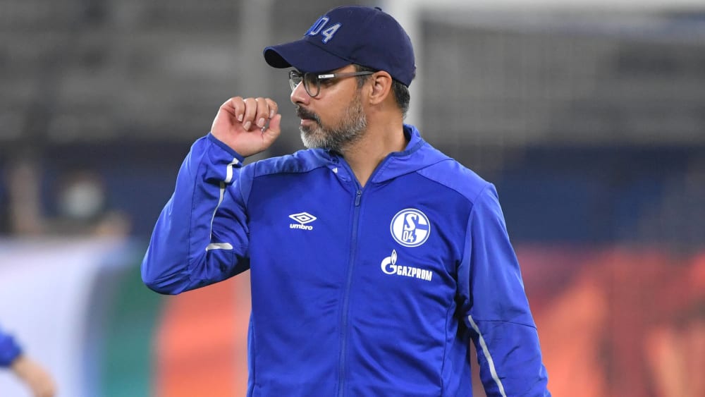 Schalke-Trainer David Wagner