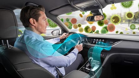 Autofahrer, Pollen