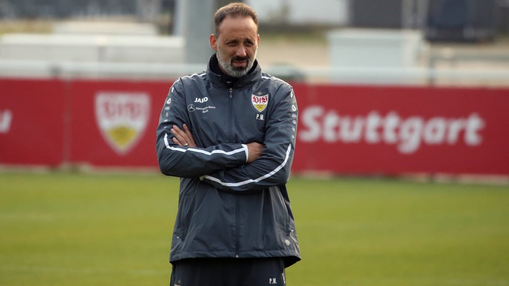Durchaus zufrieden mit dem Test gegen Heidenheim: VfB-Coach Pellegrino Matarazzo.