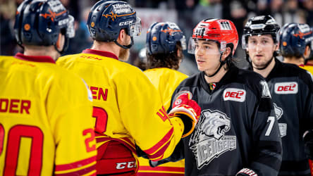 Einigkeit auch beim Gehaltsverzicht? - Die Profis der Düsseldorfer EG und der Nürnberg Ice Tigers (schwarze Shirts) beim Handshake nach der Partie.