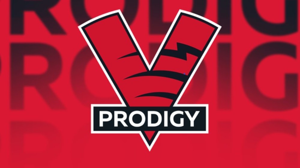 Das Logo des neuen Virtus.pro-Nachwuchsteams.