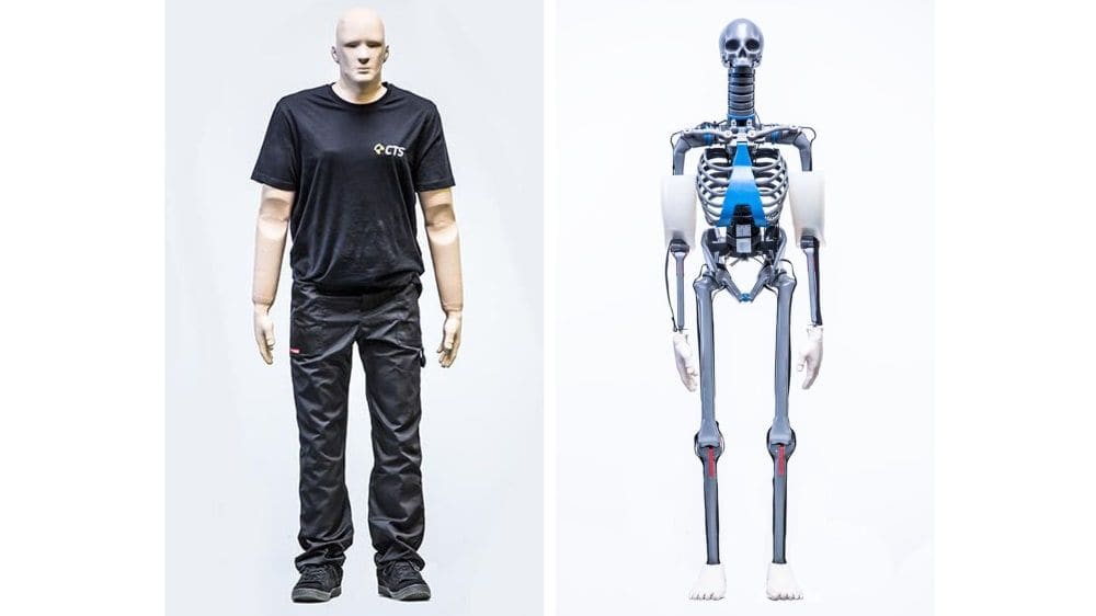 Dummy "Biofidel"