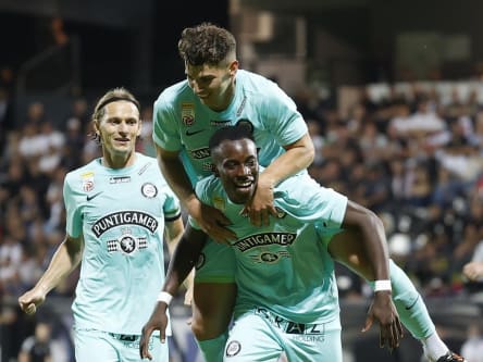 Sturm Jubel Mura Yeboah