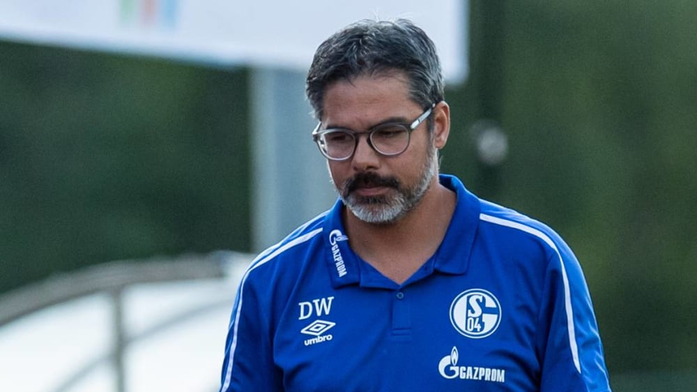 "Die Verletzung ist extrem &#228;rgerlich": Schalkes Trainer David Wagner. 