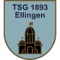 TSG 1893 Ellingen II