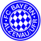 FC Bayern Alzenau (Herren)