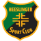 Heeslinger SC