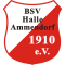 BSV Halle-Ammendorf