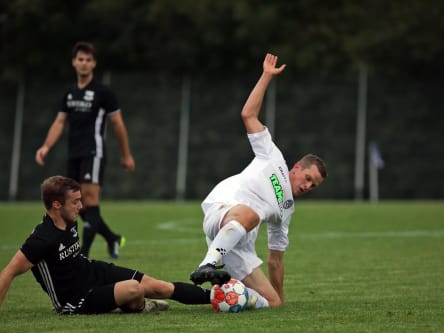 Sven Bender 1 JPG