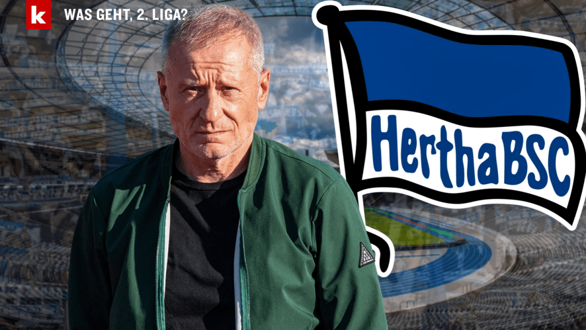 Hertha boss Görlich on promotion: | 