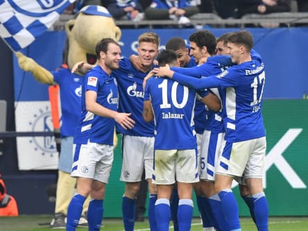 Schalker Jubel gegen Sandhausen