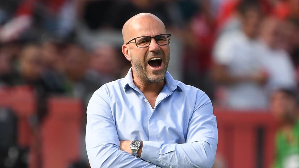 Peter Bosz