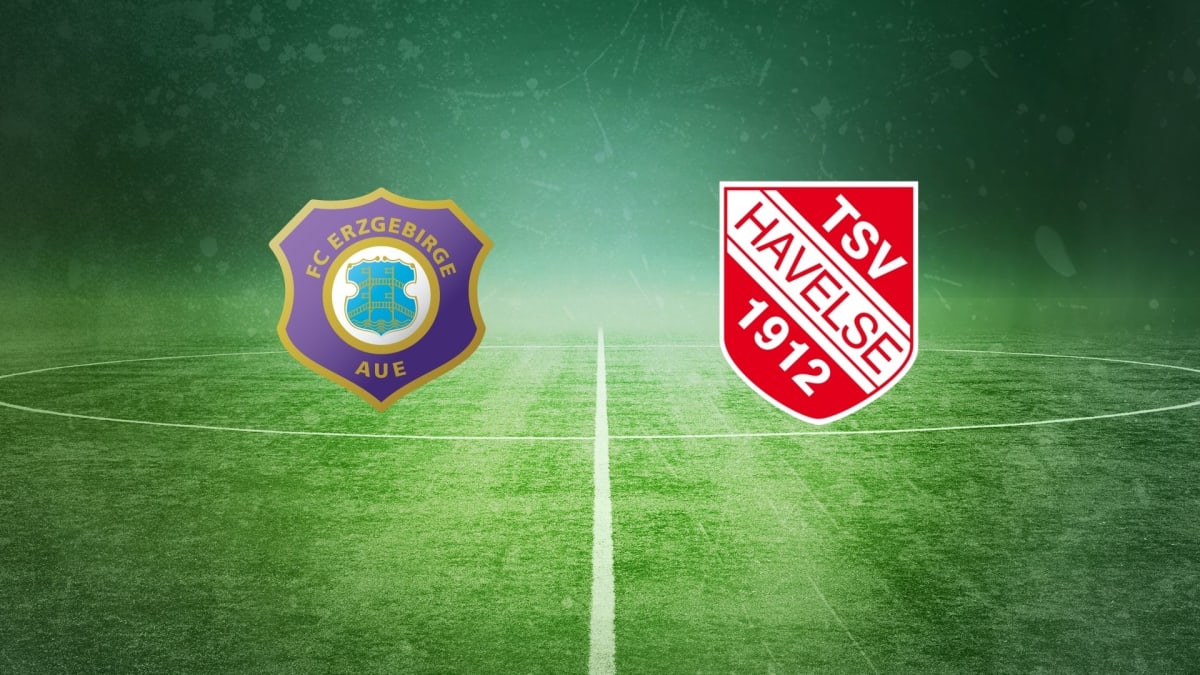 Erzgebirge Aue - TSV Havelse (Highlights)