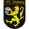 1. FC Dilsberg II
