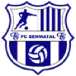 FC Sehmatal