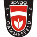 SpVgg Gammesfeld