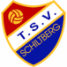 TSV Schiltberg