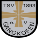 TSV Gangkofen II