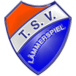 TSV Lämmerspiel II