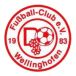 FC Wellinghofen