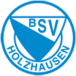 BSV Holzhausen III