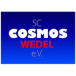 SC Cosmos Wedel