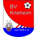 BSV Kneheim