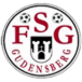 FSG Gudensberg III