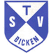 TSV Bicken II