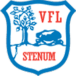 VfL Stenum II