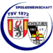 SG TSV 1872 Langenwetzendorf