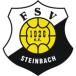 FSV Steinbach