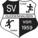 SV Duddenhausen