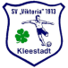 SV Viktoria 1913 Kleestadt
