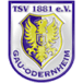 TSV 1881 Gau Odernheim II