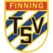TSV Finning