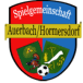 SG Auerbach/Hormersdorf