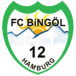FC Bingöl