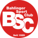 Bahlinger SC III