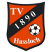 TV 1890 Haßloch