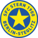Steglitzer FC Stern 1900 II