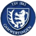 TSV Gammertingen