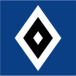 Hamburger SV V