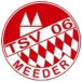TSV Meeder III