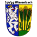 SpVgg Wiesenbach II