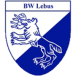 SV Blau-Weiß Turbine Lebus