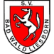 SV Bad Waldliesborn